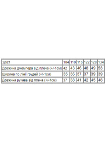 Худи и свитшоты Носи своє модель 6069-057-33-5-buzok-zrka Фото
