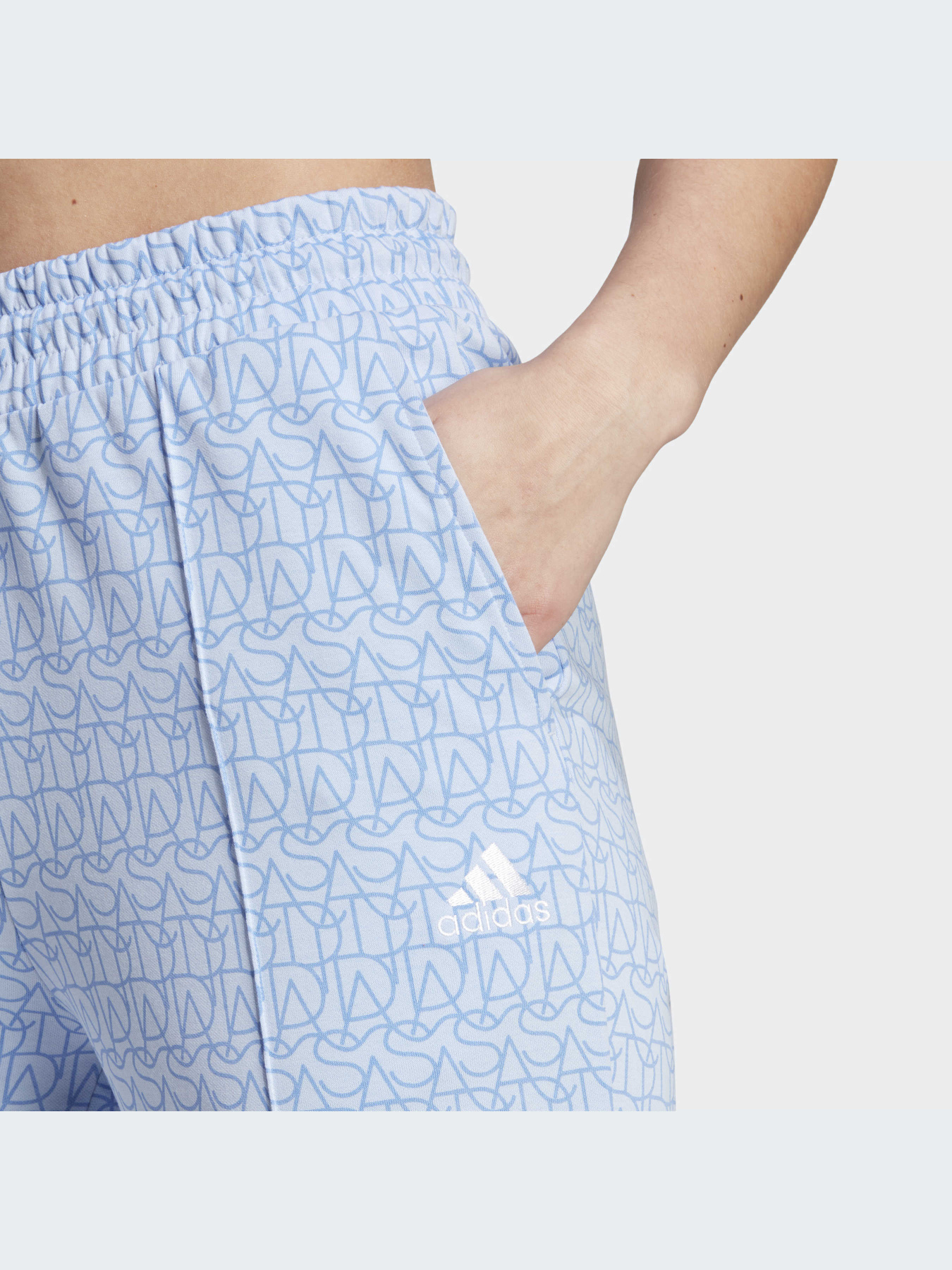 Брюки Adidas Graphics модель IC5721 Фото