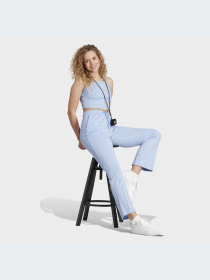 Брюки Adidas Graphics модель IC5721 Фото