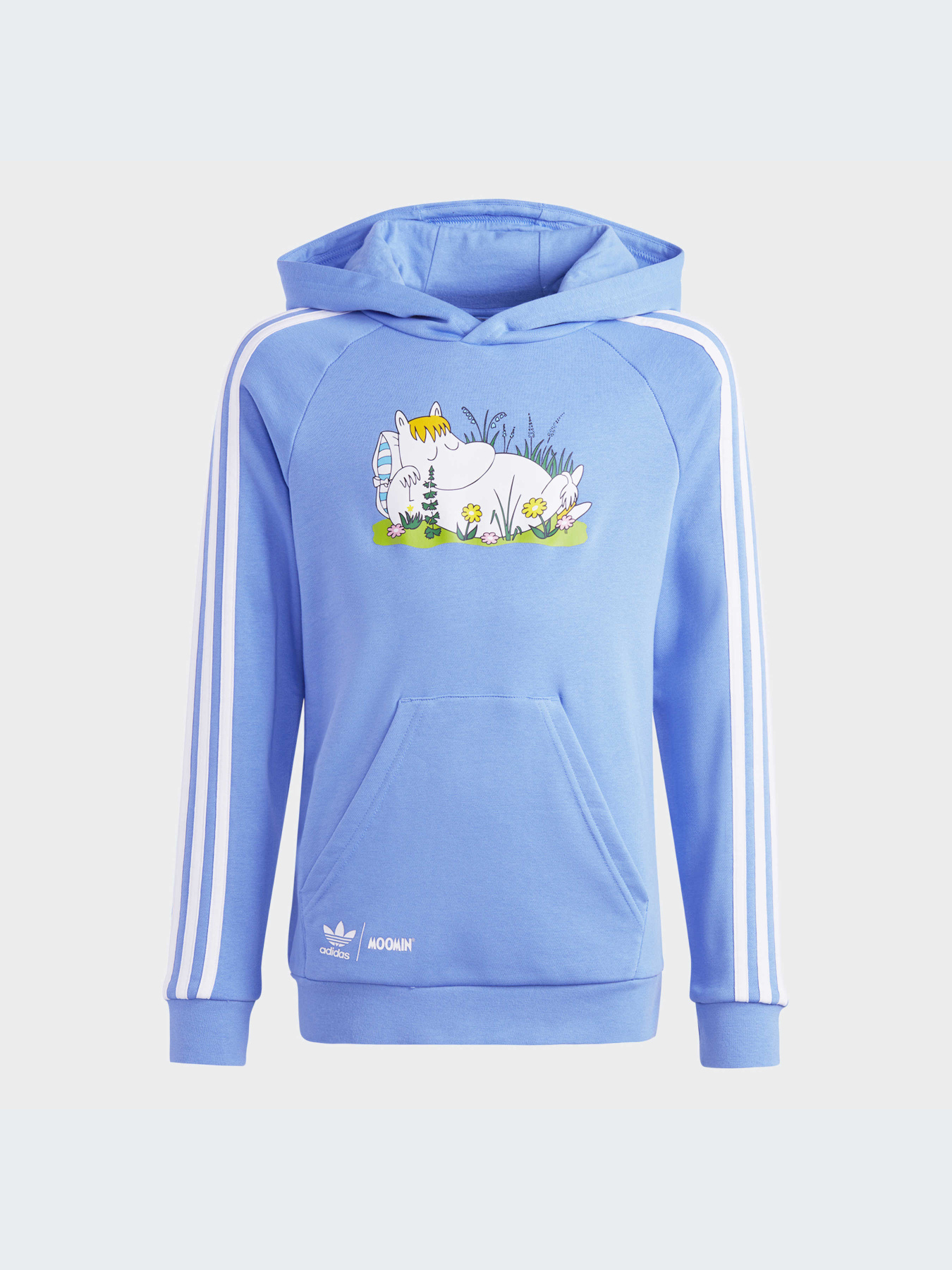 Худи и свитшоты Adidas модель IC5667 Фото