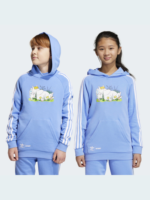 Худи и свитшоты Adidas модель IC5667 Фото