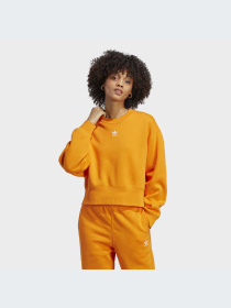 Худі та світшоти Adidas модель IK7697 Фото
