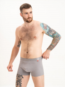 Нижнее белье ISSA Plus модель GN5-214_grey Фото