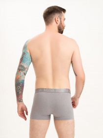 Нижнее белье ISSA Plus модель GN5-214_grey Фото