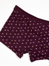 Нижнее белье ISSA Plus модель GN5-215_burgundy Фото