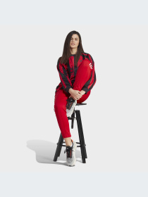 Брюки Adidas модель IC6679 Фото