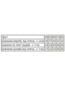 Одяг для немовлят Носи своє модель 5010-036-5-chajna-troqnda Фото