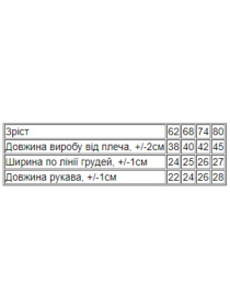Одежда для младенцев Носи своє модель 5010-023-33-5-svtlo-salatovij-kotik Фото