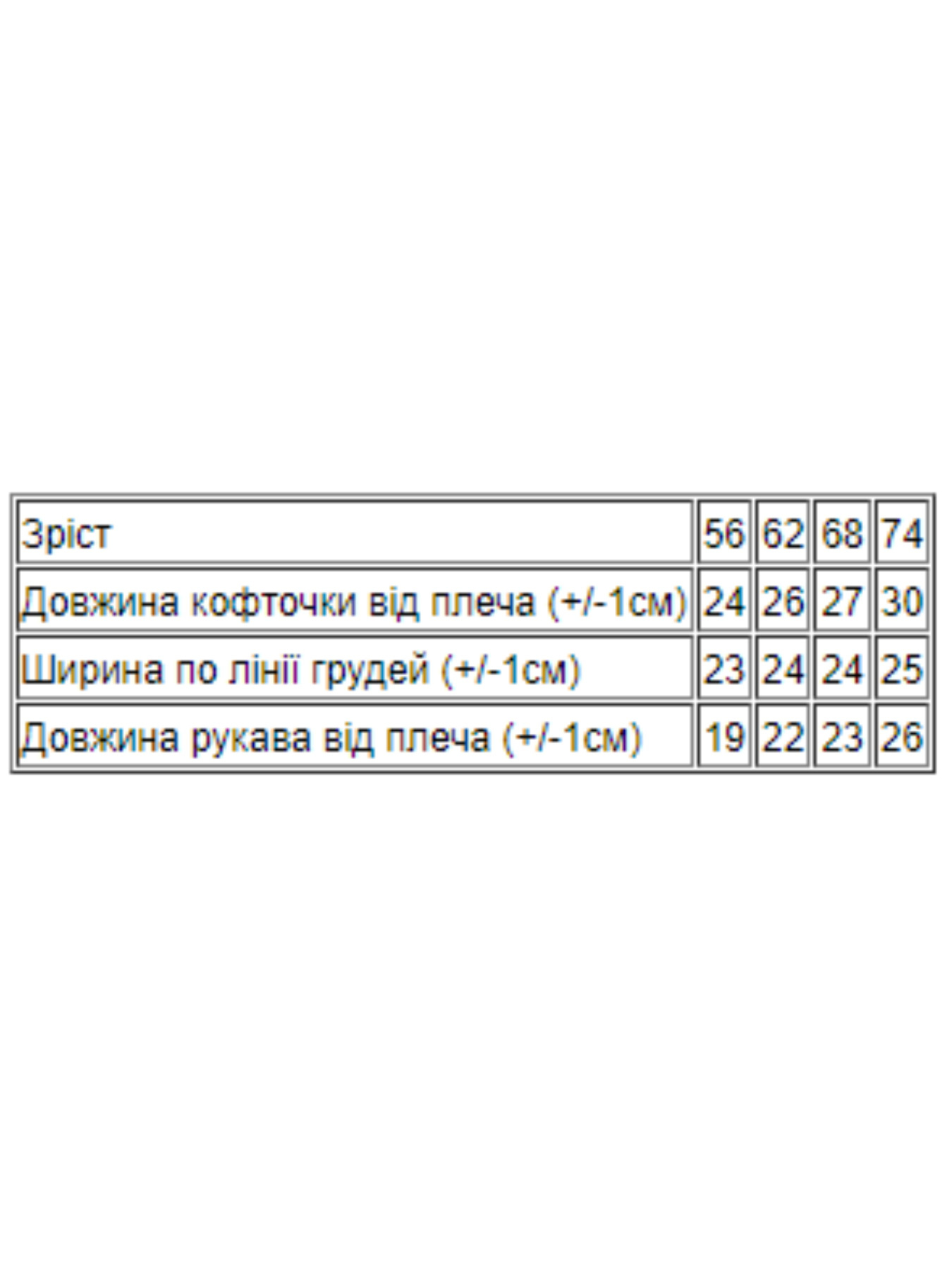 Худі та світшоти Носи своє модель 5036-002-5-zajka-mentol Фото