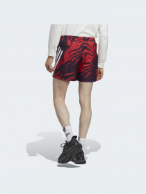 Шорти Adidas модель IC8253 Фото