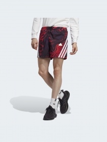 Шорти Adidas модель IC8253 Фото