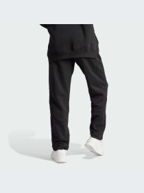 Брюки Adidas модель HZ5802 Фото