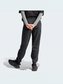 Брюки Adidas модель HZ2987 Фото