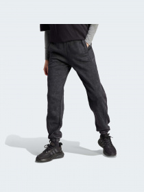 Брюки Adidas модель HZ2987 Фото