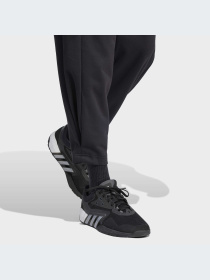 Брюки Adidas модель HY9238 Фото