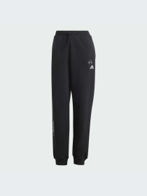 Брюки Adidas модель IJ8771 Фото
