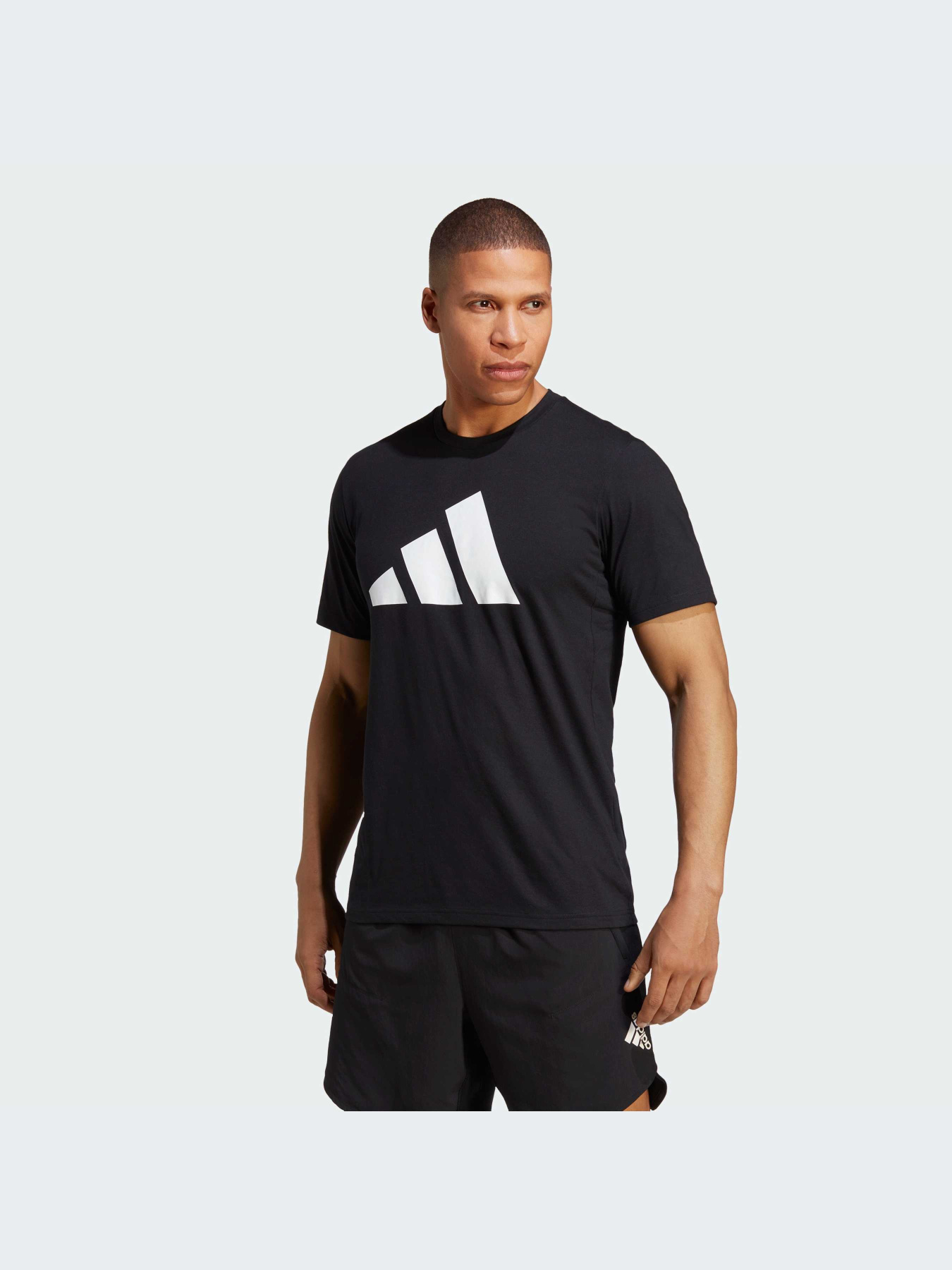Футболки и поло Adidas модель IB8273 Футболки и поло Adidas модель IB8273 Фото
