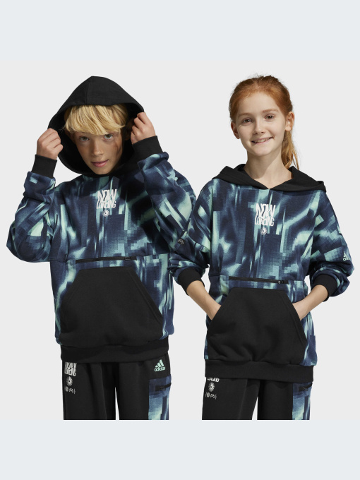 Худи и свитшоты Adidas модель HR6413 Фото