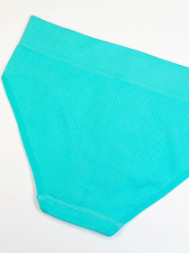 Нижня білизна ISSA Plus модель BL2-618_turquoise Фото