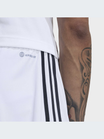 Шорты Adidas модель H38904 Фото