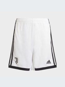 Шорты Adidas модель HB0433 Фото