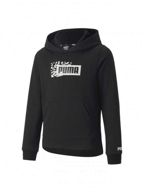 Худи и свитшоты PUMA Alpha Hoodie модель 670217 Фото