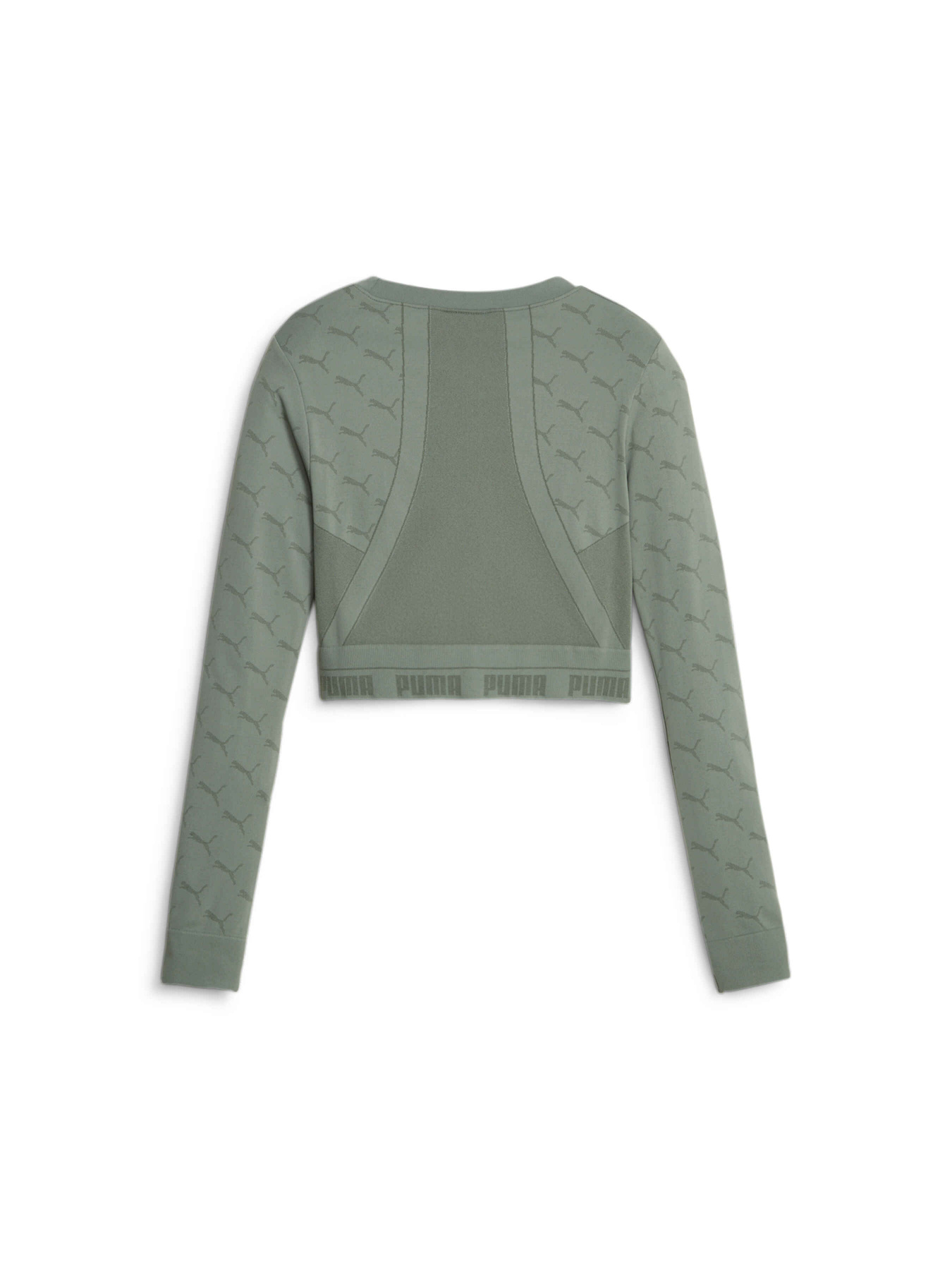 Футболки и поло PUMA Evoknit Longsleeve Tee модель 673092 Фото