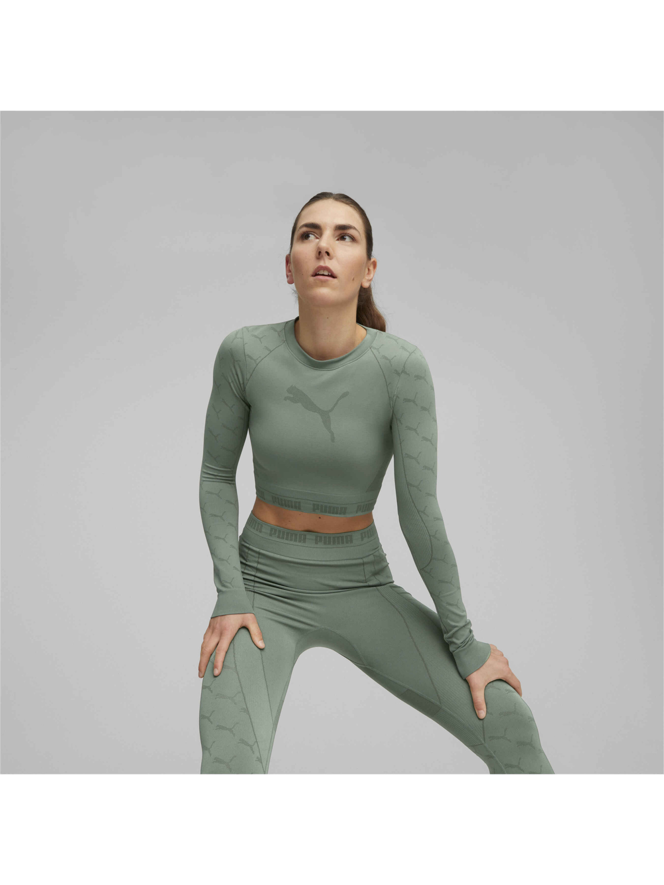 Футболки и поло PUMA Evoknit Longsleeve Tee модель 673092 Фото