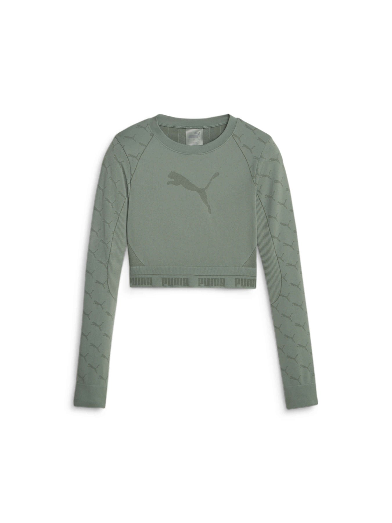 Футболки и поло PUMA Evoknit Longsleeve Tee модель 673092 Фото