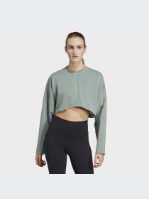 Худи и свитшоты Adidas модель HR5086 Фото