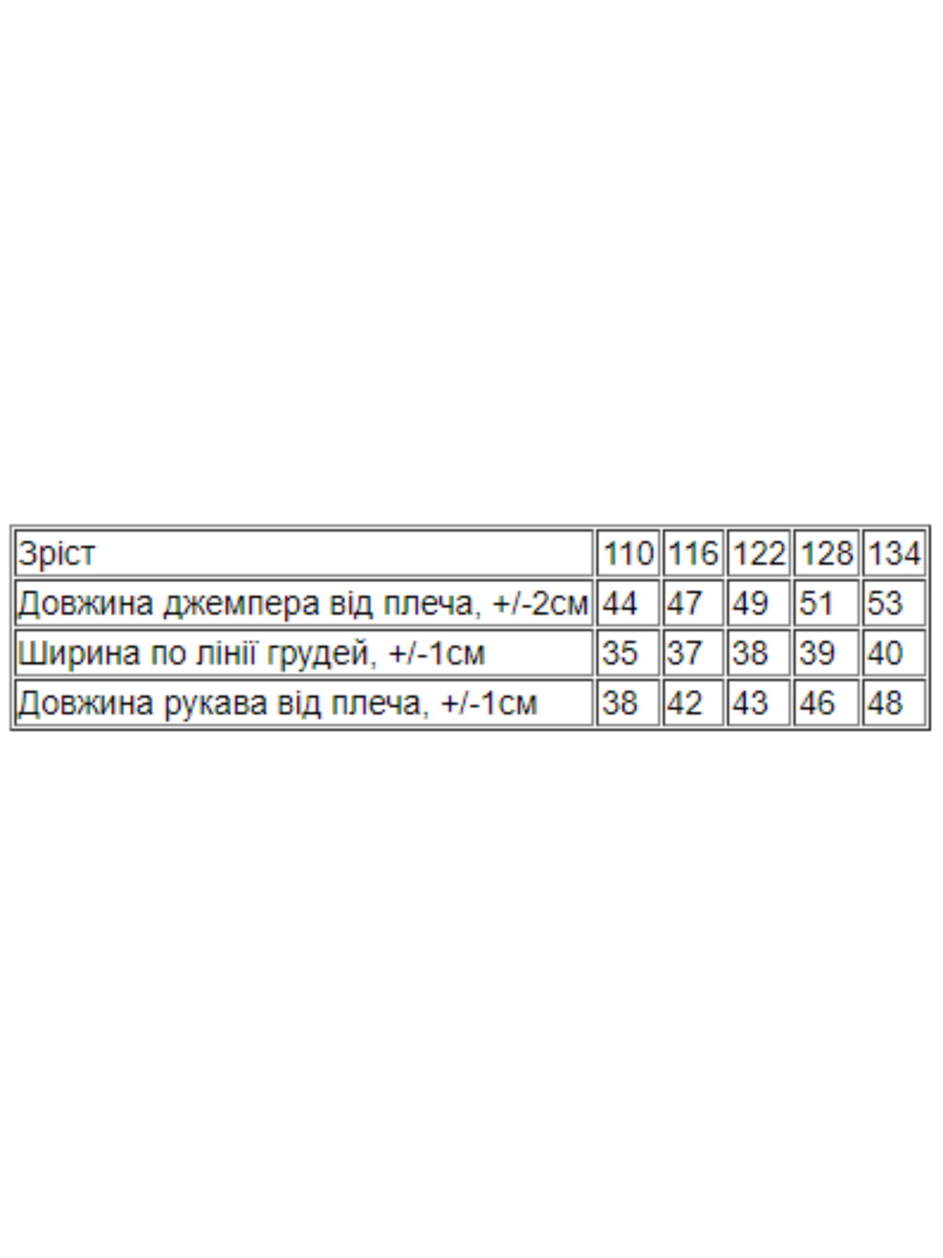 Худи и свитшоты Носи своє модель 6069-024-5-zrochki Фото