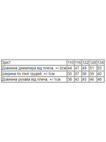 Худи и свитшоты Носи своє модель 6069-024-5-zrochki Фото