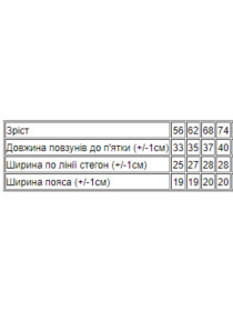 Одежда для младенцев Носи своє модель 5034-024-4-dno-srij Фото