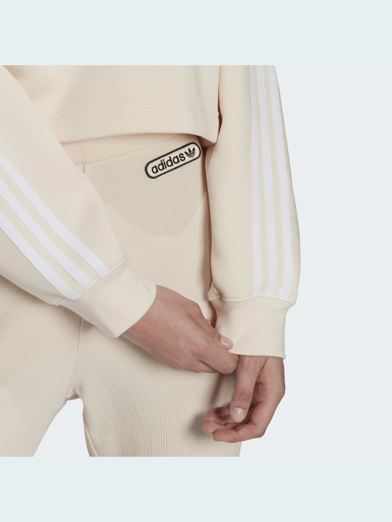 Худи и свитшоты Adidas Adicolor модель HC2018 Фото
