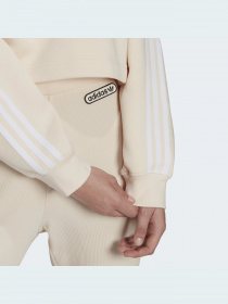 Худи и свитшоты Adidas Adicolor модель HC2018 Фото