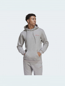 Худі та світшоти Adidas Graphics модель HF4920 Фото