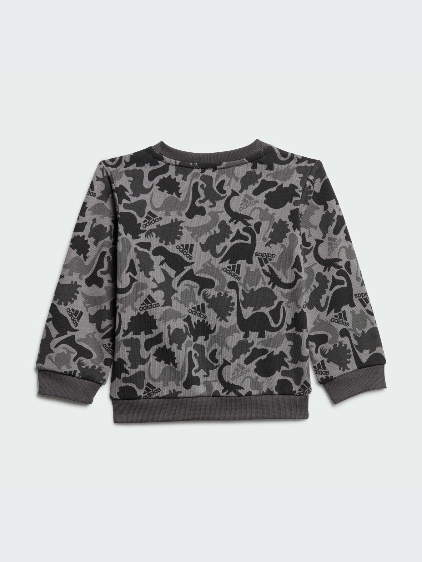 Костюми Adidas Graphics модель IM1664 Фото