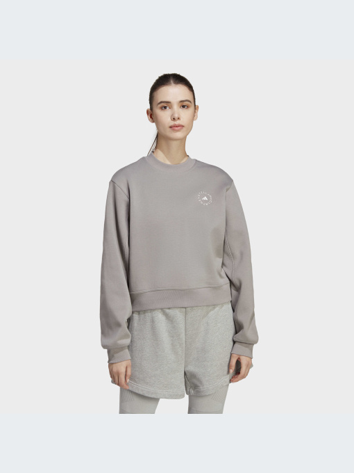 Худи и свитшоты Adidas модель HR2528 Фото