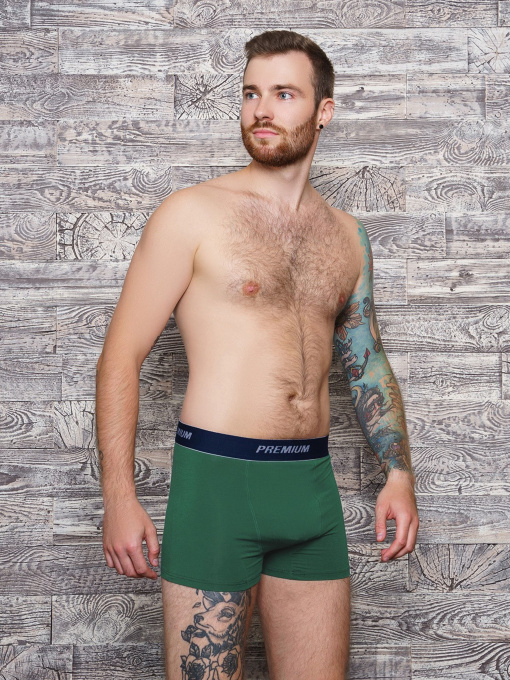Нижнее белье ISSA Plus модель GN5-153_khaki Фото