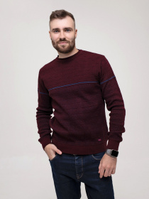 Свитры и кардиганы ISSA Plus модель GN4-157_burgundy Фото