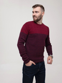 Свитры и кардиганы ISSA Plus модель GN4-159_burgundy Фото