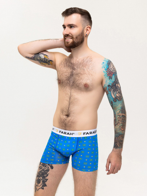 Нижнее белье ISSA Plus модель GN5-223_blue Фото