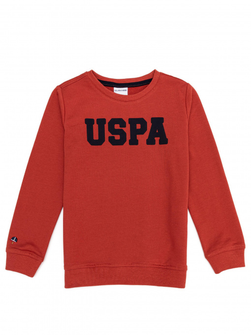 Худі та світшоти US Polo модель G083SZ082.000.1259385.VR191 Фото