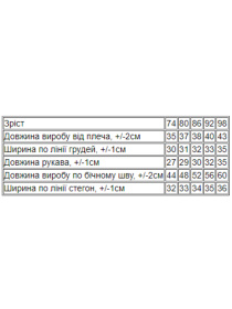 Одяг для немовлят Носи своє модель 5066-025-33-5-chajna-troqnda Фото