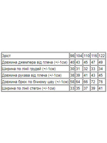 Одежда для дома и сна Носи своє модель 6076-008-33-5-dzhins Фото