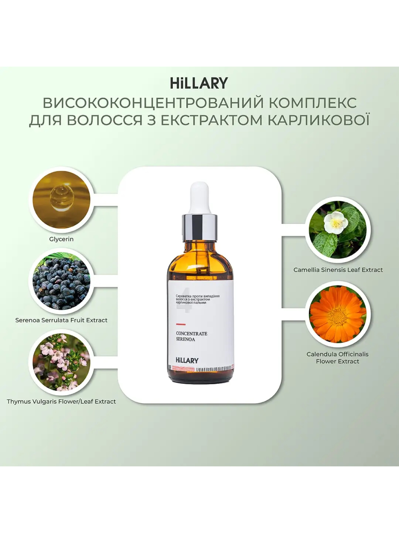 Комплекс проти випадіння волосся + Сироватка для волосся Hillary модель HI-11-659 Комплекс проти випадіння волосся + Сироватка для волосся Hillary модель HI-11-659 Фото