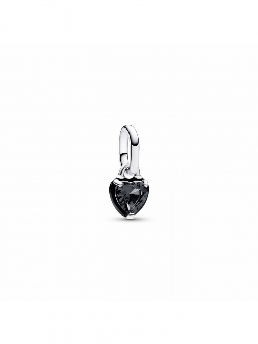 Класичні PANDORA модель 793042C01 Фото