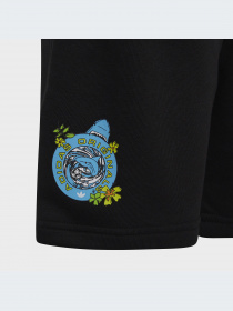 Шорти Adidas Graphics модель HF7447 Фото