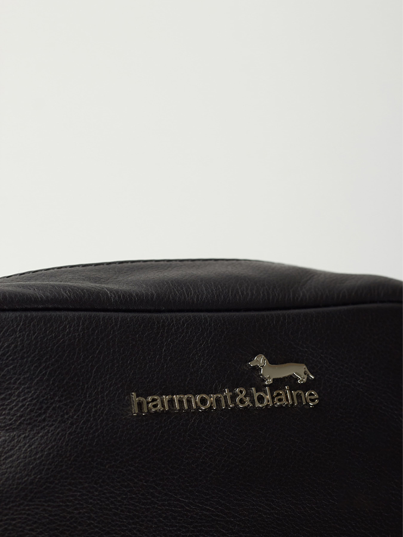 Сумки Harmont&Blaine модель H2DPMH070022999 Фото