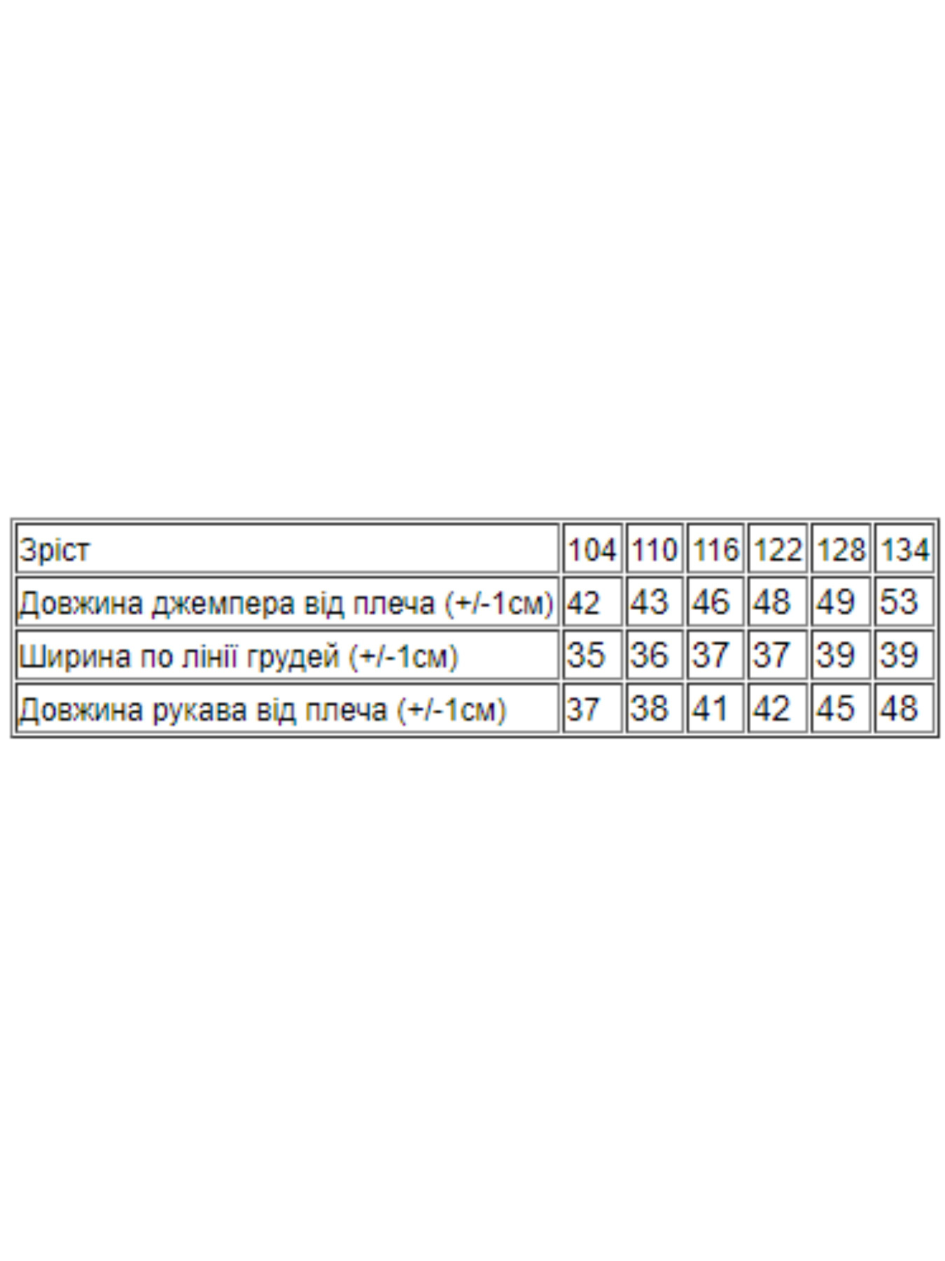 Худі та світшоти Носи своє модель 6069-057-33-5-chornilxno-sinj Фото
